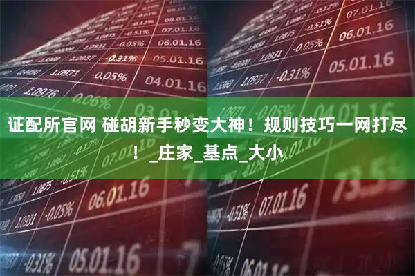 证配所官网 碰胡新手秒变大神！规则技巧一网打尽！_庄家_基点_大小